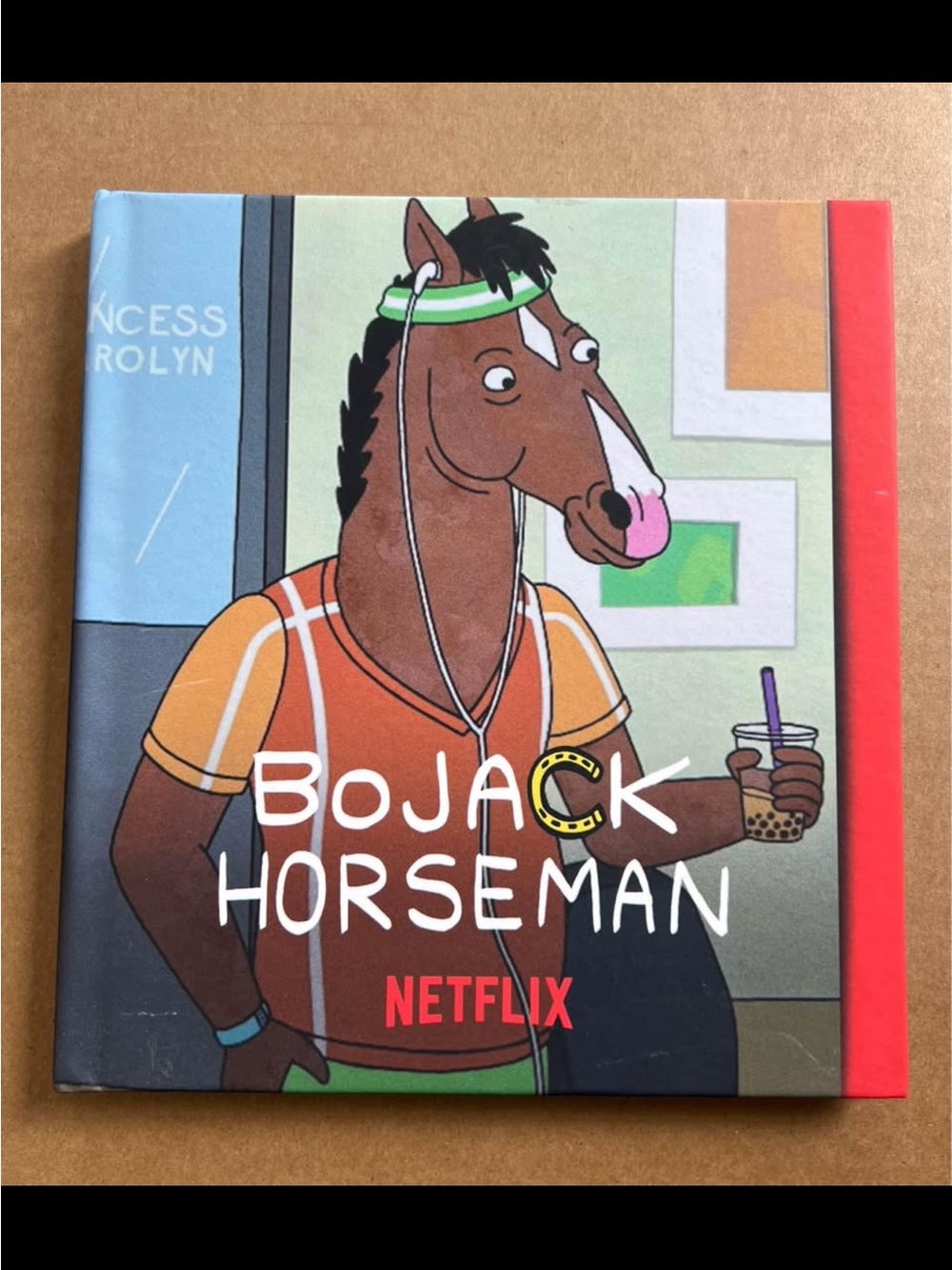 Netflix BoJack Horseman Poster - Brown, Orange, Green, Red